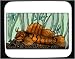 Mouse Pad with bottom, ocean, orange, brown, fish, underwater, seaweed, swim