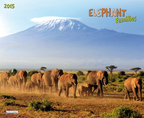 Elephant Families (Decor)