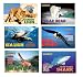 Zooflipz Wildlife Flipbooks