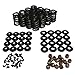 Howards Cams 98116-K1 GM Gen III Valve Spring & Retainer Kit With 7 Degree Valve