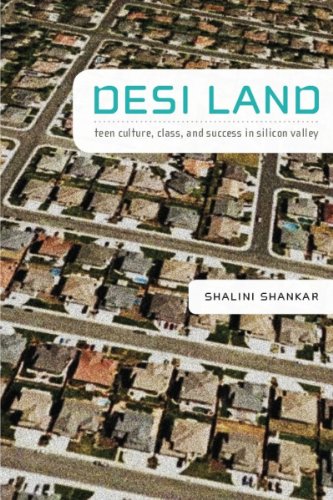 Desi Land: Teen Culture, Class, and Success in Silicon Valley