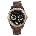 Fossil Stella Multifunction Brown Dial Watch