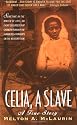 Celia, a Slave: A True Story