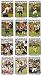 ATLANTA FALCONS 2008 TOPPS TEAM SET 14 CARDS MATT RYAN PLUS ROOKIES! Image