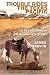 Search : Trouble Rides the Texas Pacific: A Texas Ranger Jim Blawcyzk Story