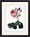 Framed Prints of CABBAGE ROSE (Rosa centifolia). Engraving after painting, 1833, by P.J. Redoute from Granger Art on Demand