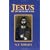 Jesus and the Victory of God, Vol. 2: Christian Origins and the Question of God