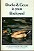 Ducks and Geese in Your Backyard: A Beginner's Guide