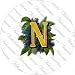 2.25 inch Large Round Lapel Pin Badge Victorian Letters N