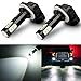 Antline Extremely Bright 50W High Power 881 889 886 894 896 LED Fog Light Bulbs Xenon White for DRL or Fog Lights (Packs of 2)