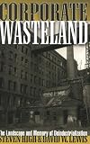 Corporate Wasteland: The Landscape and Memory of Deindustrialization