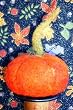 Bird Brain Designs Autumn Harvest Pumpkin Needle Felting Kit