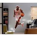 Fathead Lebron James-Cl Cavs-Series 2
