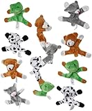 Geddes Locker Buddies - Set of 12