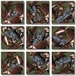 B Dazzle River Otters Scramble Squares 9 Piece Puzzle