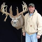 Trohpy Whitetail Deer Crawford
