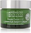 Andalou Naturals Purple Carrot Plus C Luminous Night Cream, 1.7 Ounce