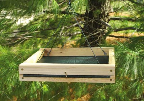 10.5 in. x 11.5 Proof Hanging