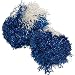 Dallas Cowboy Pom Poms