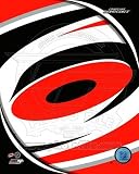 Carolina Hurricanes 2011 Team Logo Poster (8.00 x 10.00)