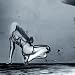 Unkle-Where Did the Night Fall
