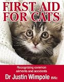First Aid for Cats