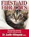 First Aid for Cats
