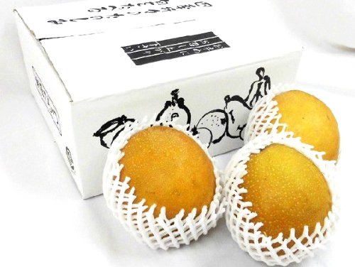 鳥取産 ”王秋梨” 秀品 大玉2~5玉前後 約2kg【予約 入荷次第発送】