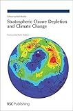Stratospheric ozone depletion and climate change