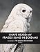 I Have Heard My Praises Sung In Screams: The Paintings of the Mincing Mockingbird Volume II