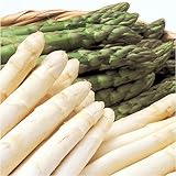 ��k�C���Y�≺������̃O���[���A�X�p�������c����̃z���C�g�A�X�p���i�Q�k�T�C�Y�v�P�j���j�ᑗ��������