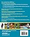 Physical Education and Sports for People with Visual Impairments and Deafblindness: Foundations of Instruction