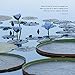 Living the Wisdom of the Tao 2016 Wall Calendar