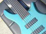 Electric Bass Guitars