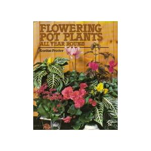 Flowering Pot Plants All Year Round