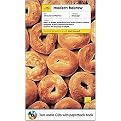 Teach Yourself Modern Hebrew Complete Course (Teach Yourself Language Courses) (Unabridged) (Package)