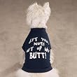 X-SMALL - Snappy Saying T-Shirt - Nose Out of Butt