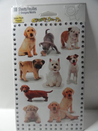 Puppies and Kittens Variety