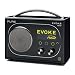 Pure Evoke Flow Tragbares Radio (Internet, DAB, UKW-Tuner, USB 2.0) schwarz