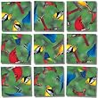 North American Birds Scramble Puzzle