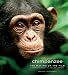 Chimpanzee: The Making of the Film