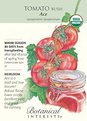 Tomato Bush Ace Certified Organic Seed