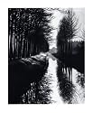 Brett Weston: Master Photographer