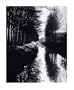 Brett Weston: Master Photographer
