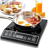 DUXTOP 1800-Watt Portable Induction Cooktop Countertop Burner 9100MC