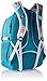 High Sierra Swerve Laptop Backpack