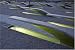 A Moment at the Pentagon 9/11 Memorial - Inspiring 16x20 Photographic Print by Carol M. Highsmith
