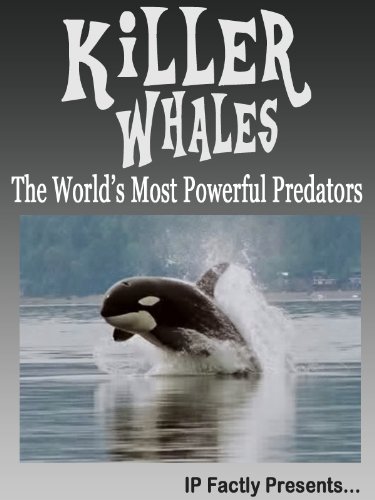 Killer Whales! The World's Most Powerful Predators! Incredible Facts, Photos and Video Links to Orca Whales. (Amazing Animals Series Book 4)