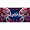 Buffalo Bills