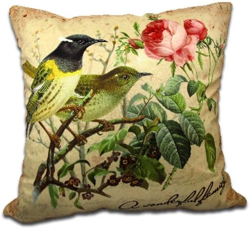 Decorative Double Side Cushion Cover Rose Birds Throw Pillow / 18 by 18-Inch